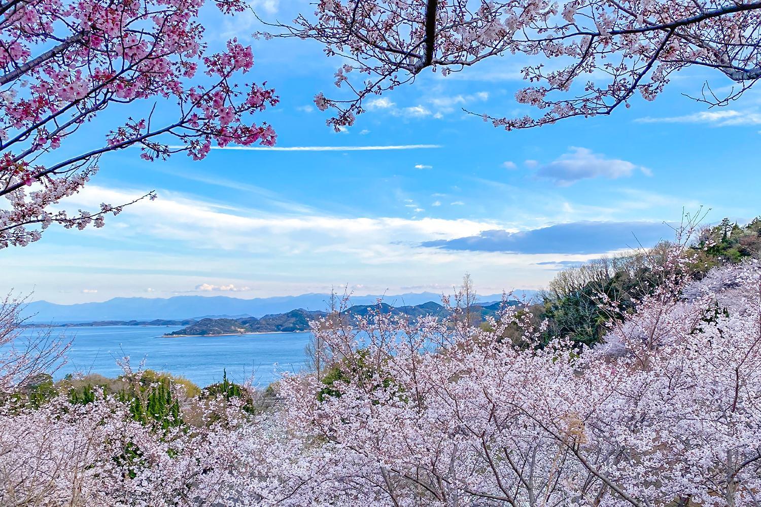 Lemon Farm Glamping Simanami Vila Onomichi Exterior foto